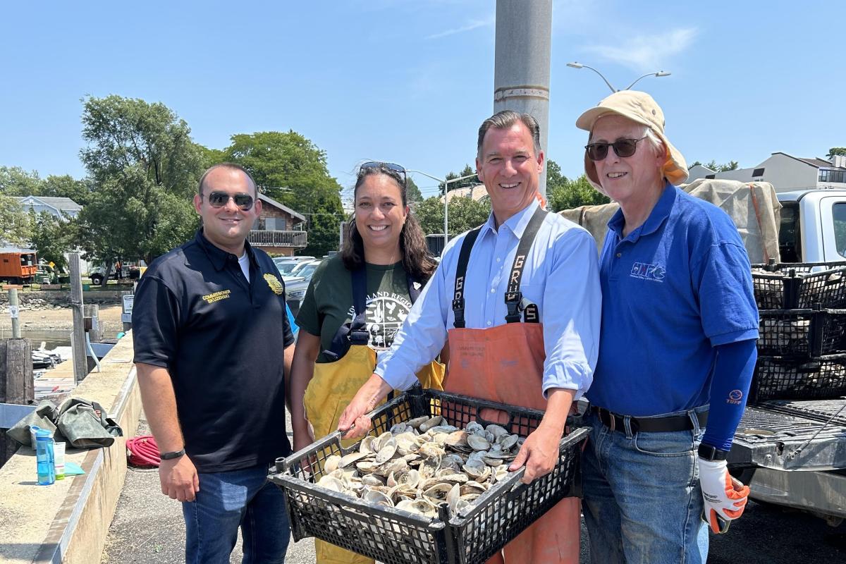 Suozzi Oysters